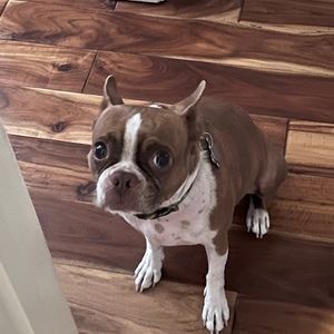 Meet your Posher, Anthony